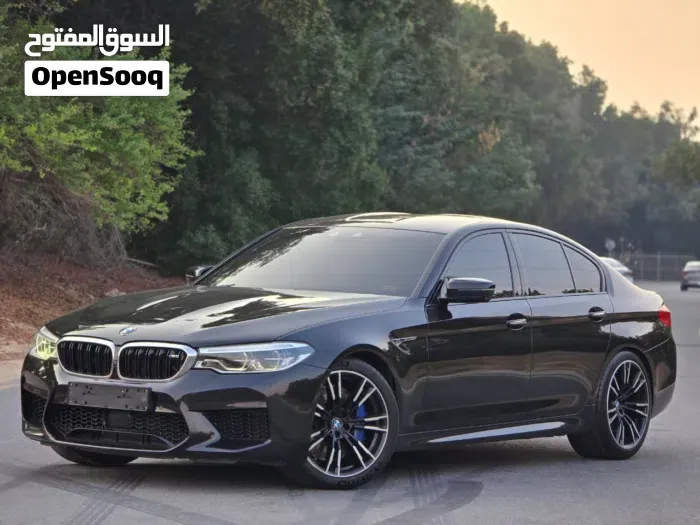 BMW 5 Series 2019 photo 3