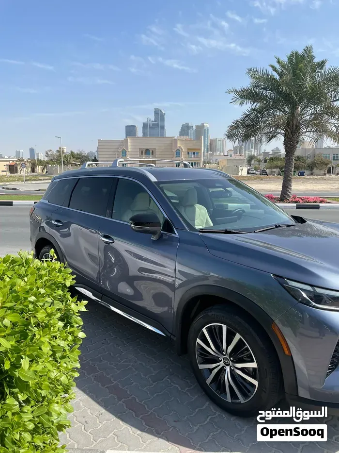 Infiniti Qx60 2022 photo 4
