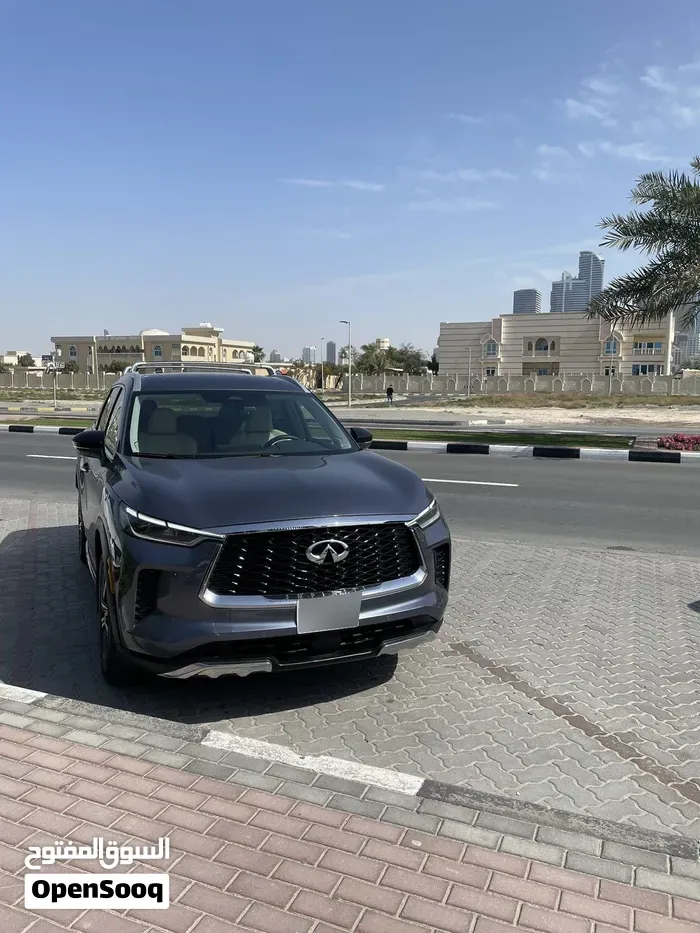 Infiniti Qx60 2022 photo 3