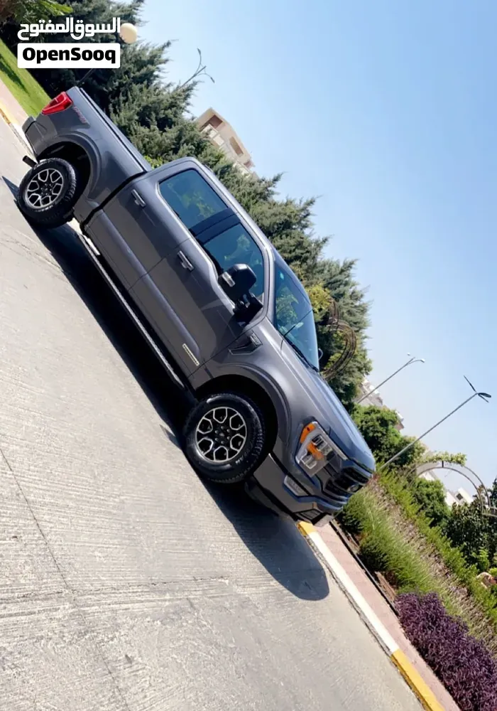 Ford F-150 2022 photo 3