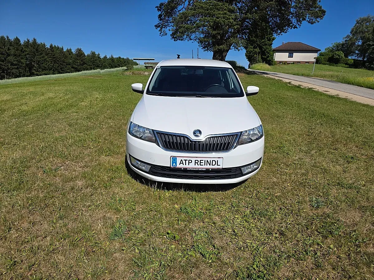 Skoda Rapid 2015 photo 2