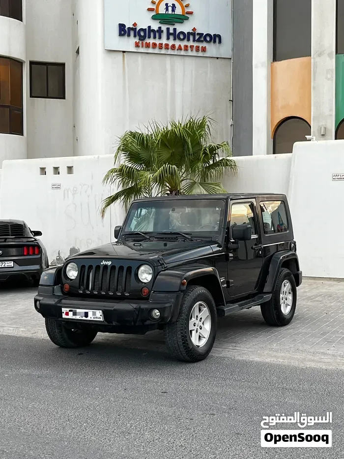 Jeep Wrangler Sahara 2010 photo 2