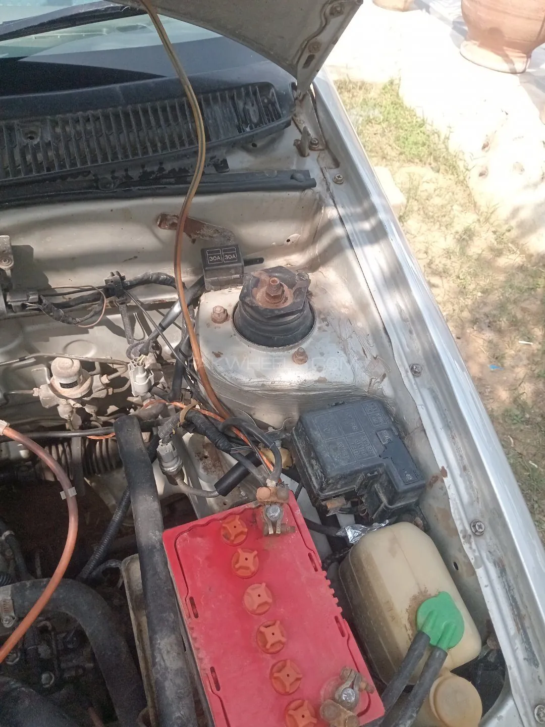 Suzuki Cultus