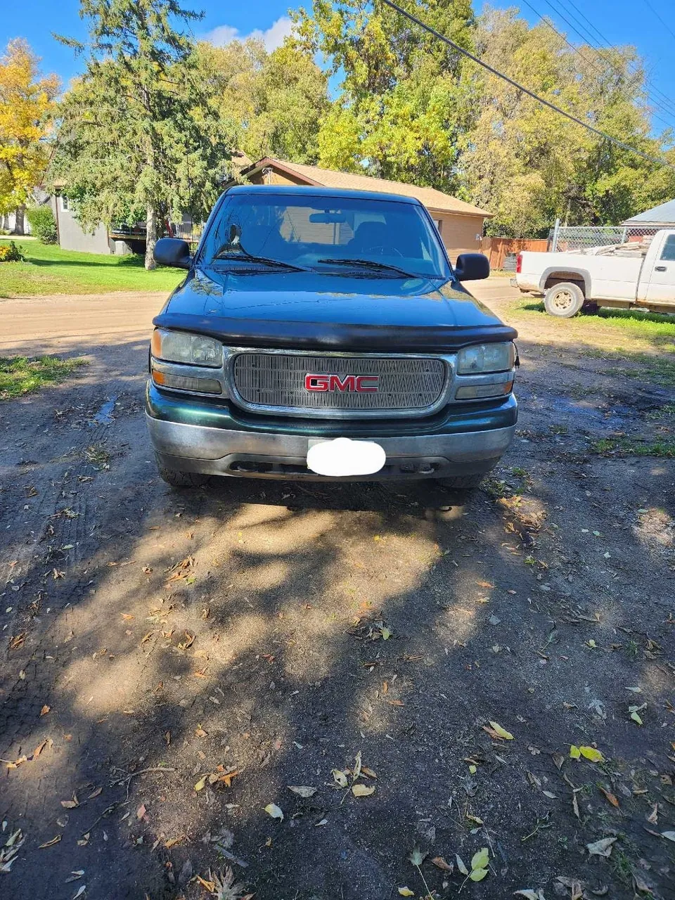GMC Sierra 1500 2001 photo 4