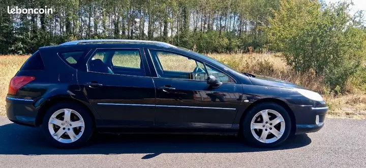 Peugeot 407 2007 photo 2
