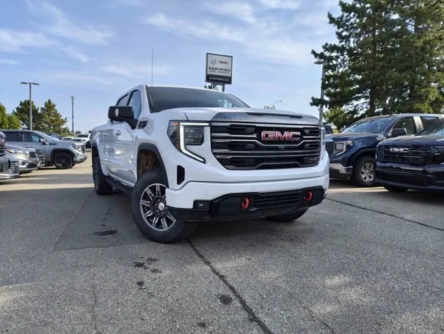 GMC Sierra 1500 2024 photo 2