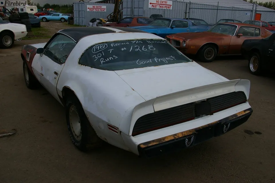 Pontiac Trans Am 1981 photo 5