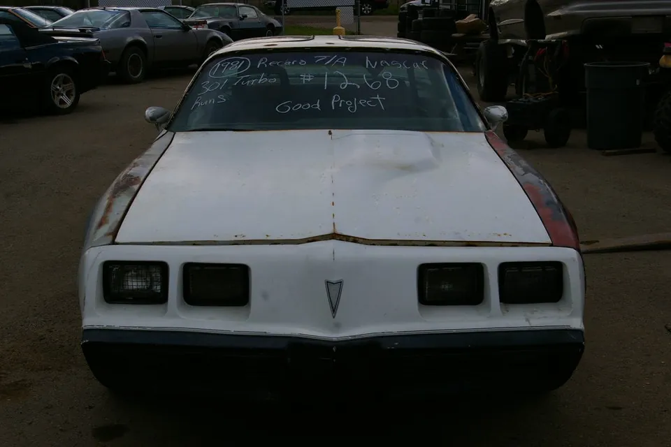 Pontiac Trans Am 1981 photo 2