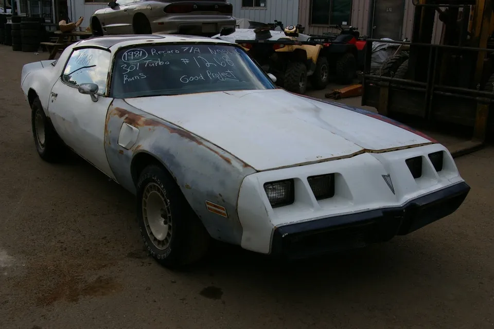 Pontiac Trans Am 1981 photo 3