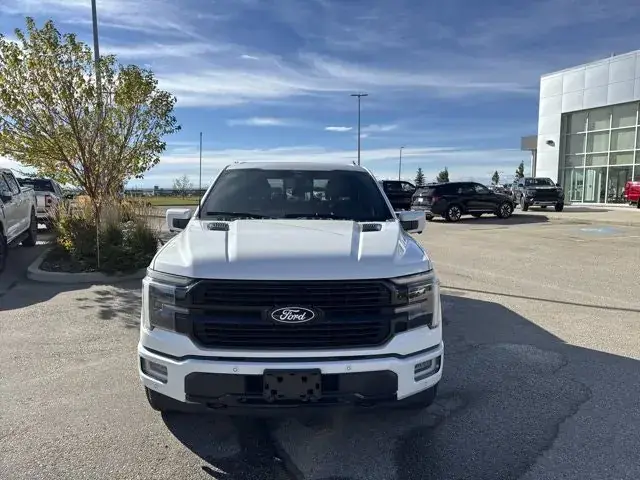 Ford F-150 2024 photo 2
