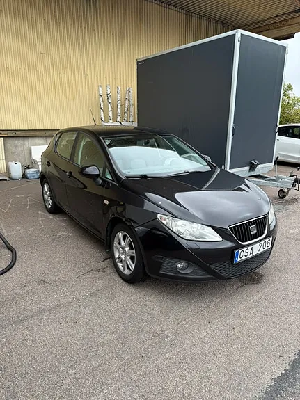 Seat Ibiza 2009 photo 2