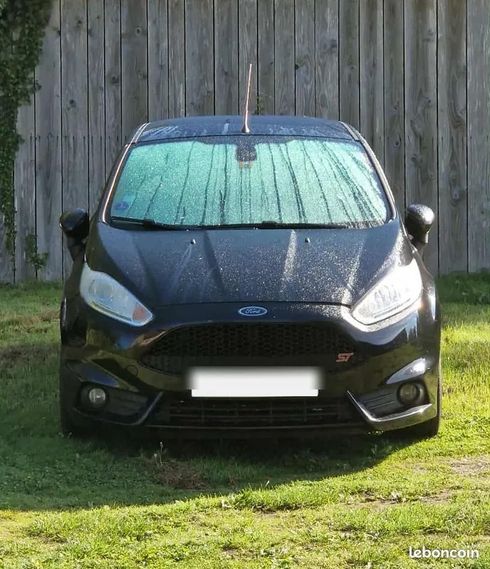 Ford Fiesta 2017 photo 2