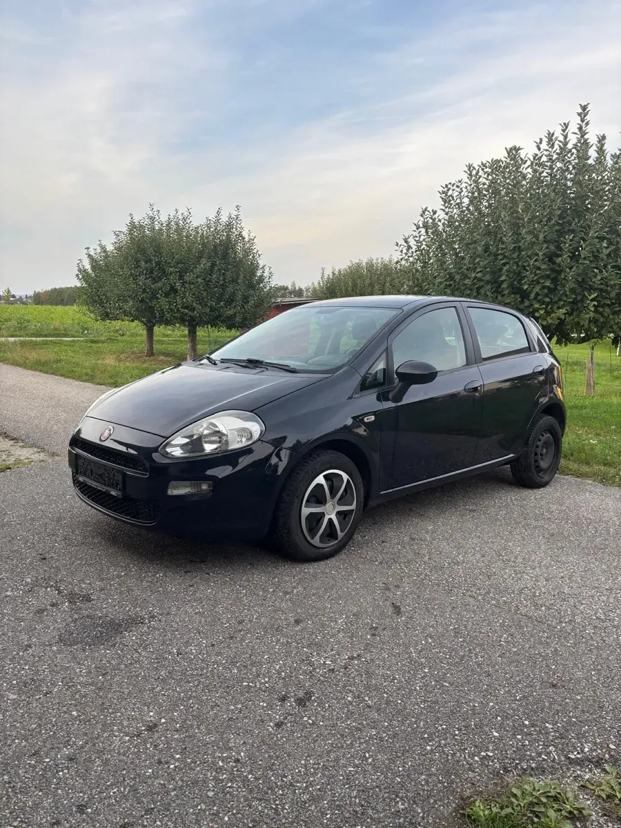 Fiat Punto 2013 photo 2