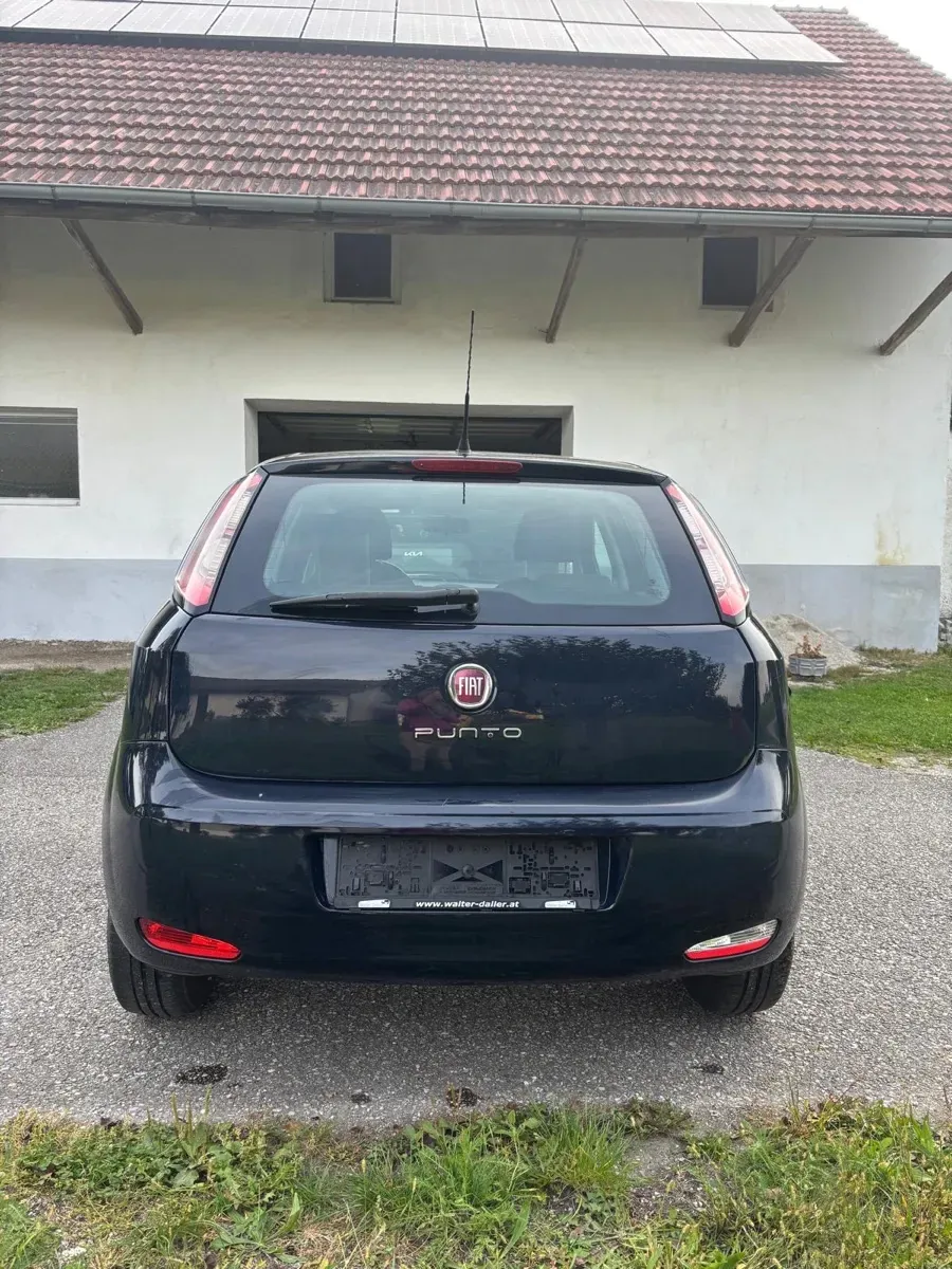 Fiat Punto 2013 photo 3
