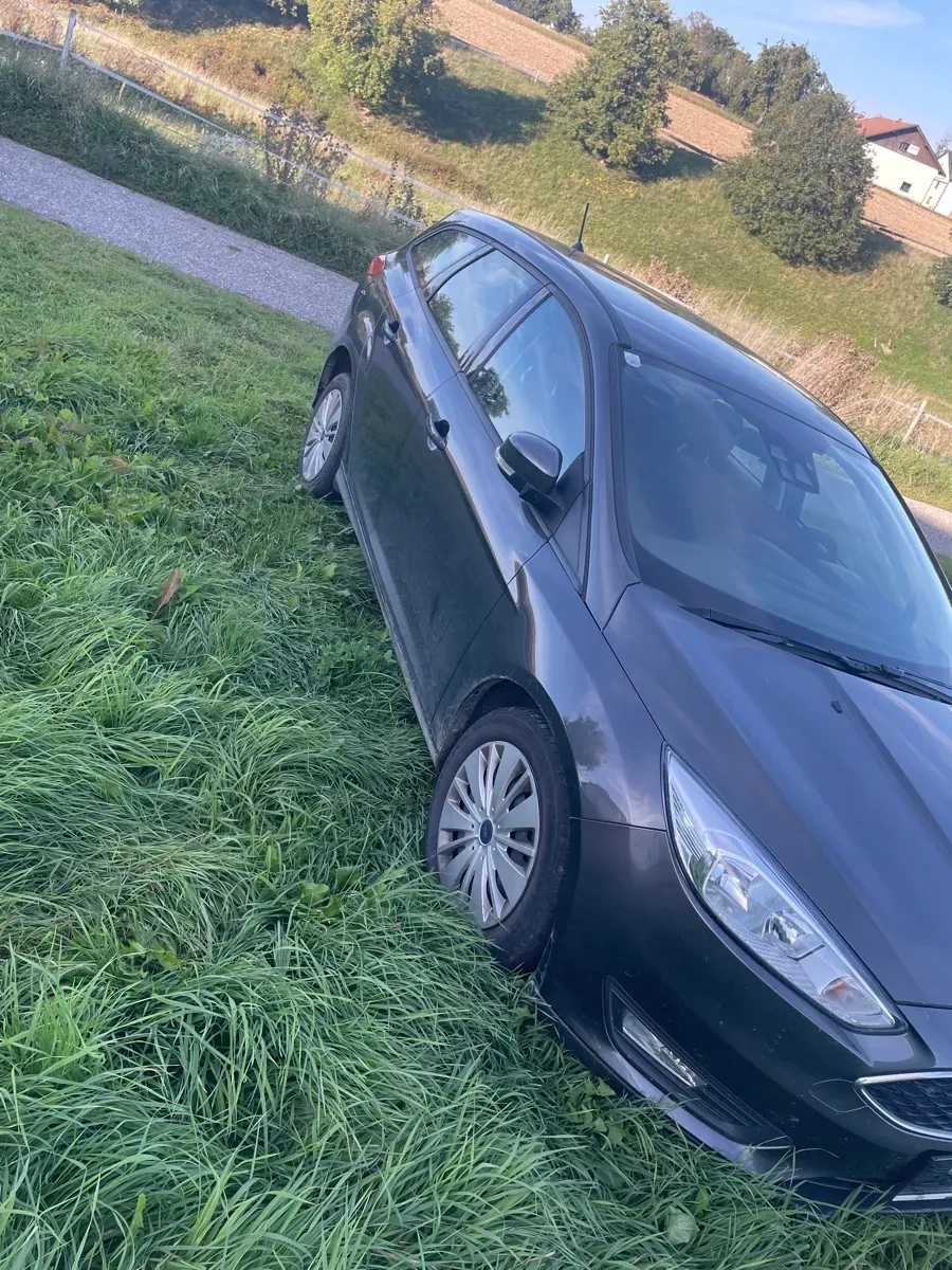 Ford Focus 2017 photo 3
