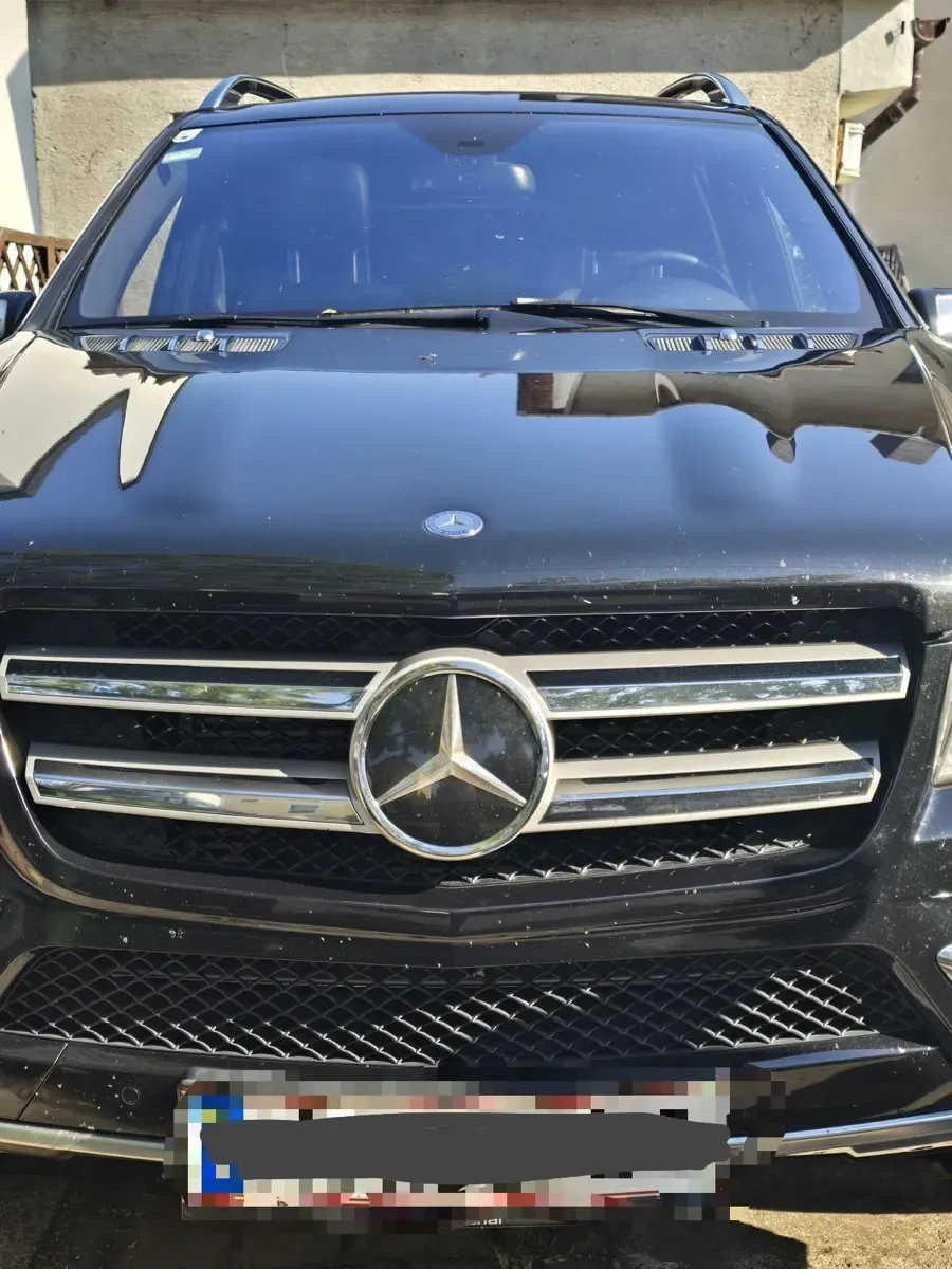 Mercedes-Benz Gl-Class 2010 photo 2