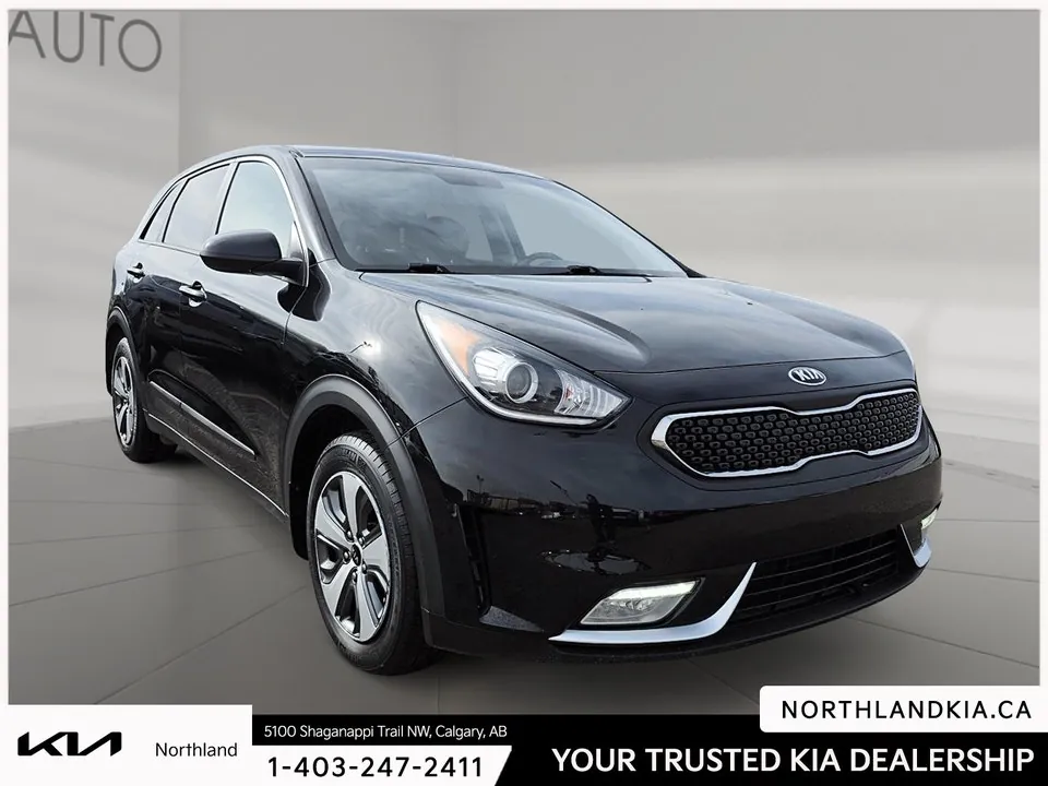 Kia Niro 2019 photo 5