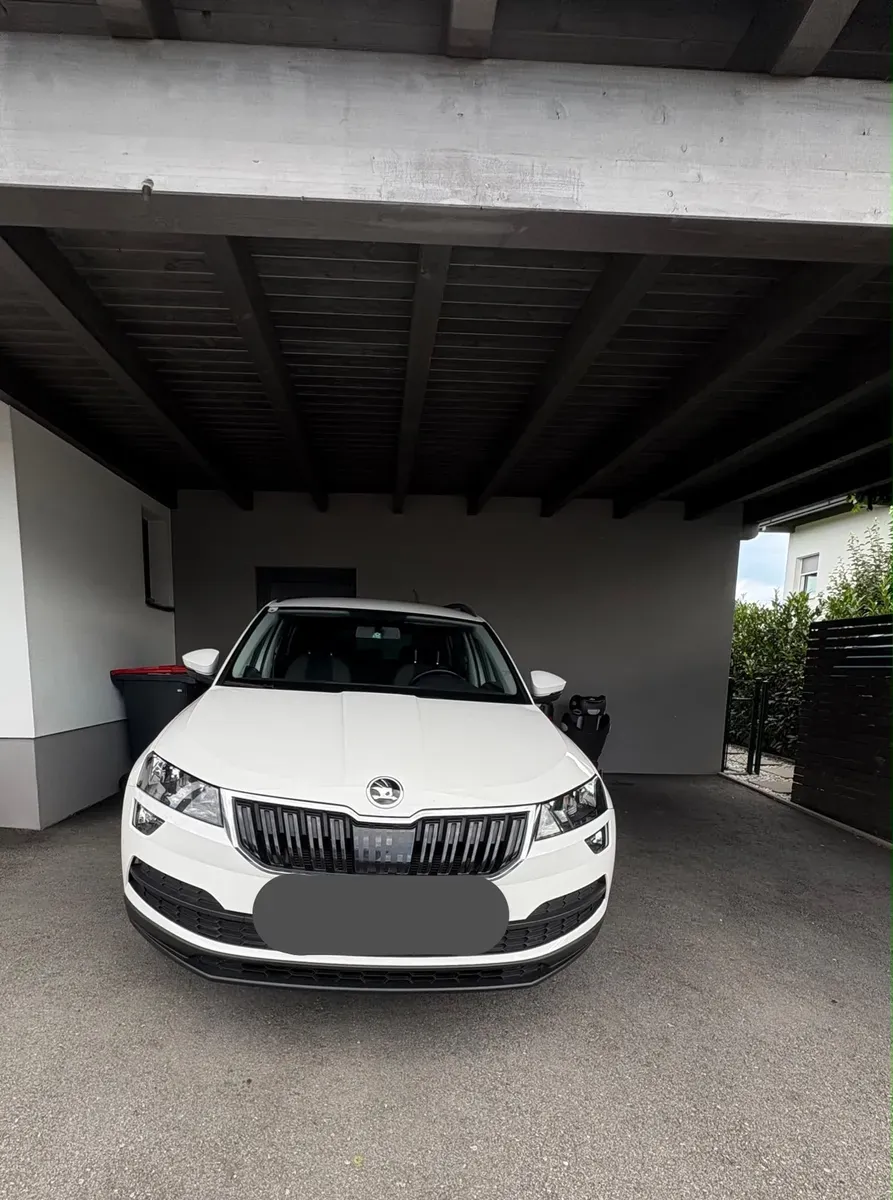 Skoda Karoq 2019 photo 2