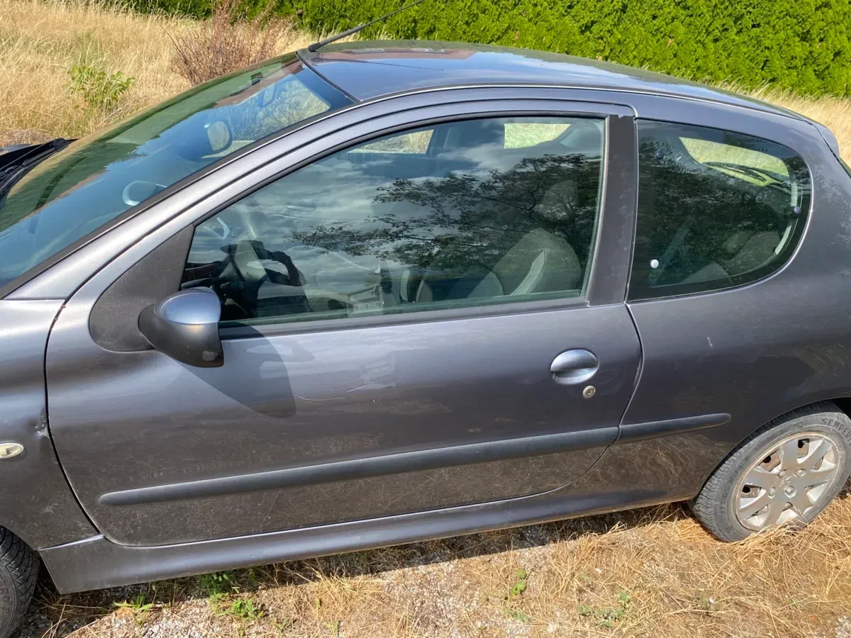 Peugeot 206 2009 photo 3