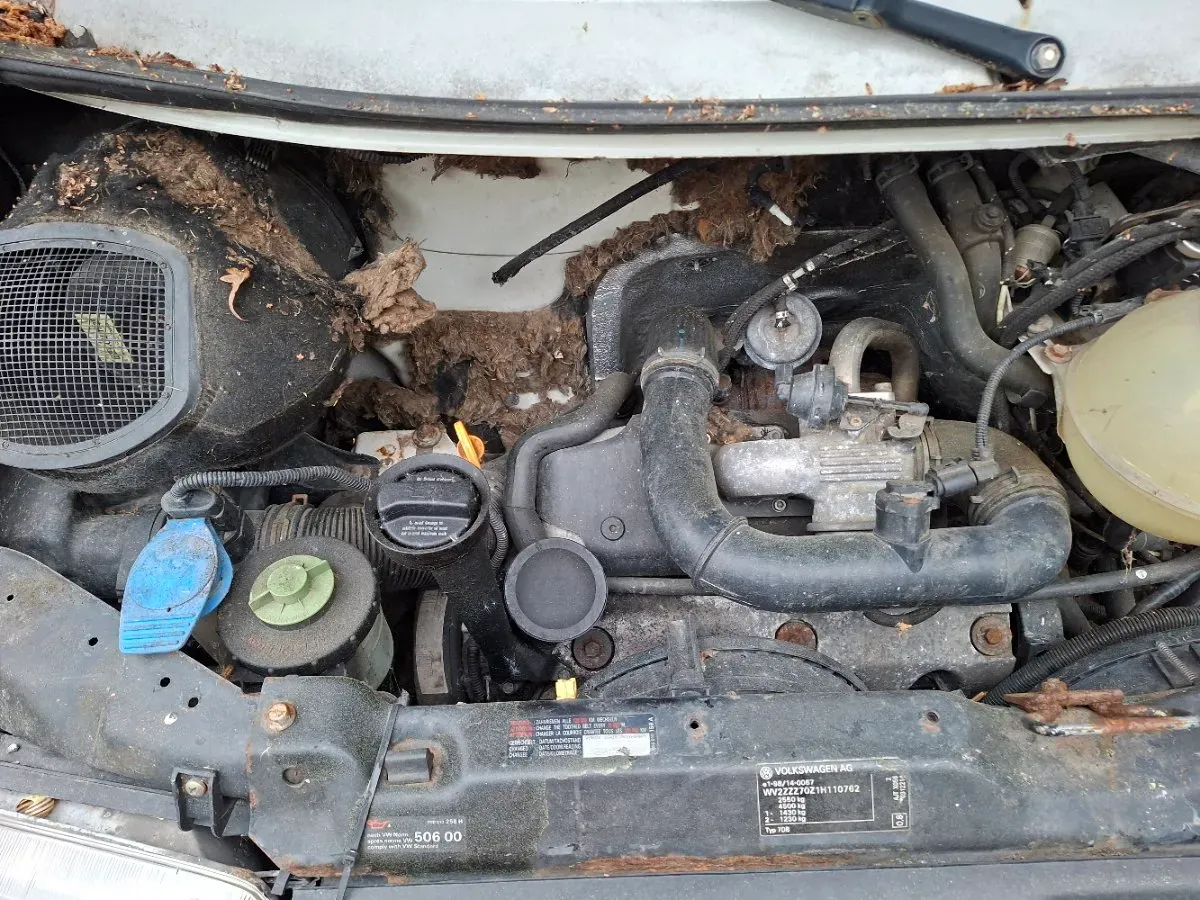 Volkswagen T4