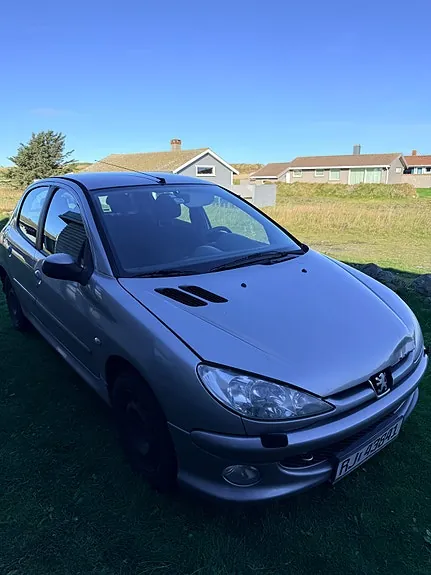 Peugeot 206