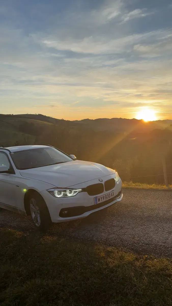 BMW 3 Series 2016 photo 3