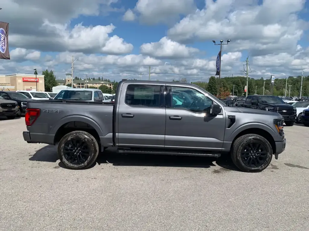 Ford F-150 2025 photo 4