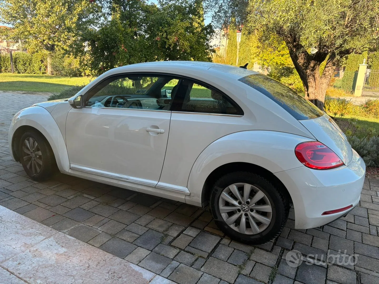 Volkswagen Maggiolino