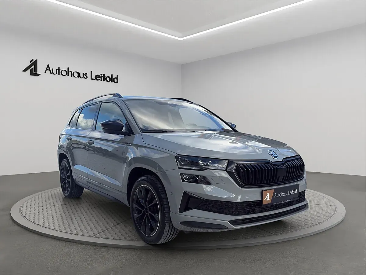 Skoda Karoq 2024 photo 3