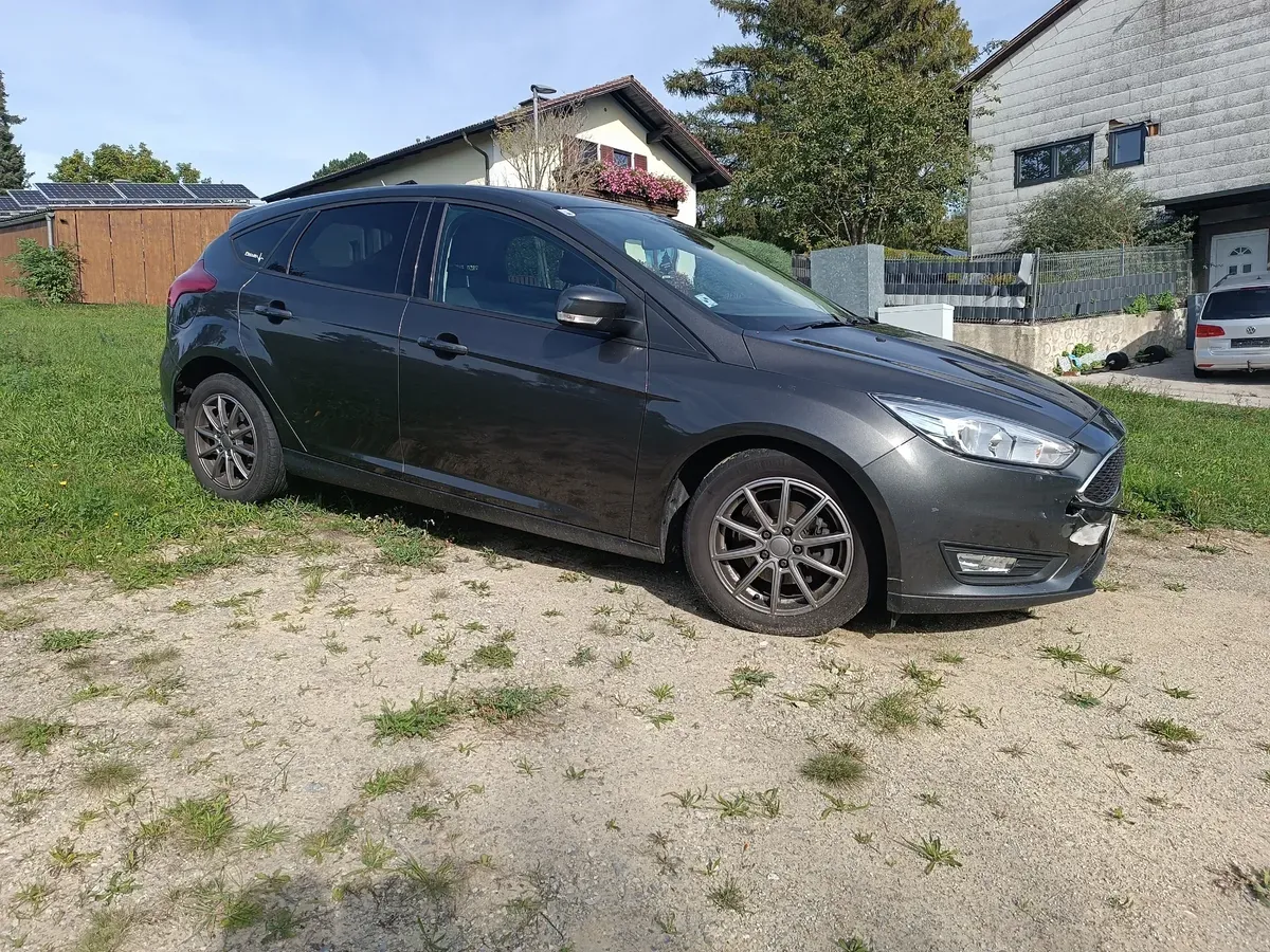 Ford Focus 2018 photo 2