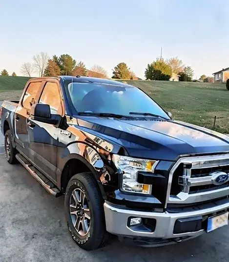 Ford F-150 2016 photo 3