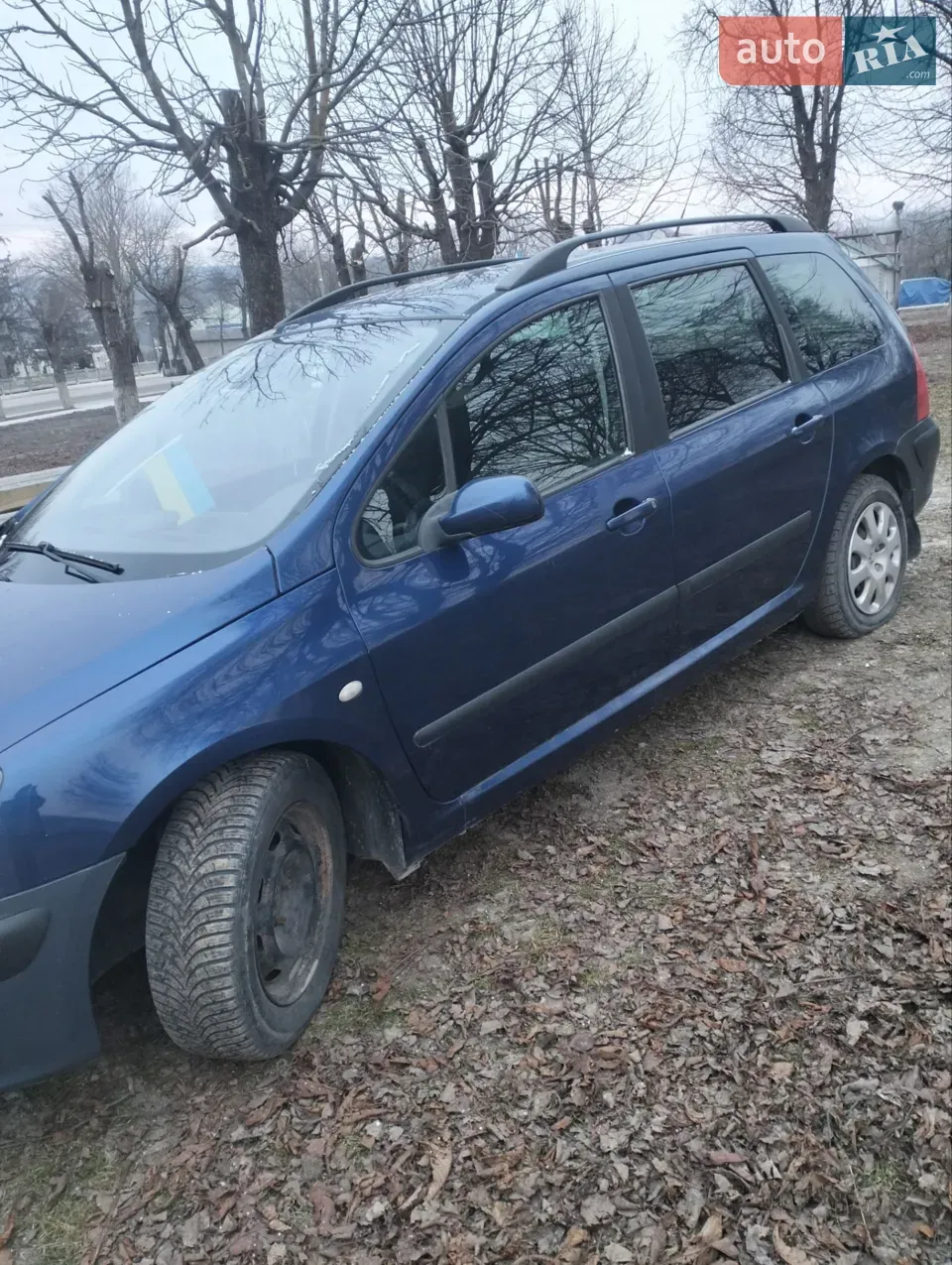 Peugeot 307 2004 photo 3