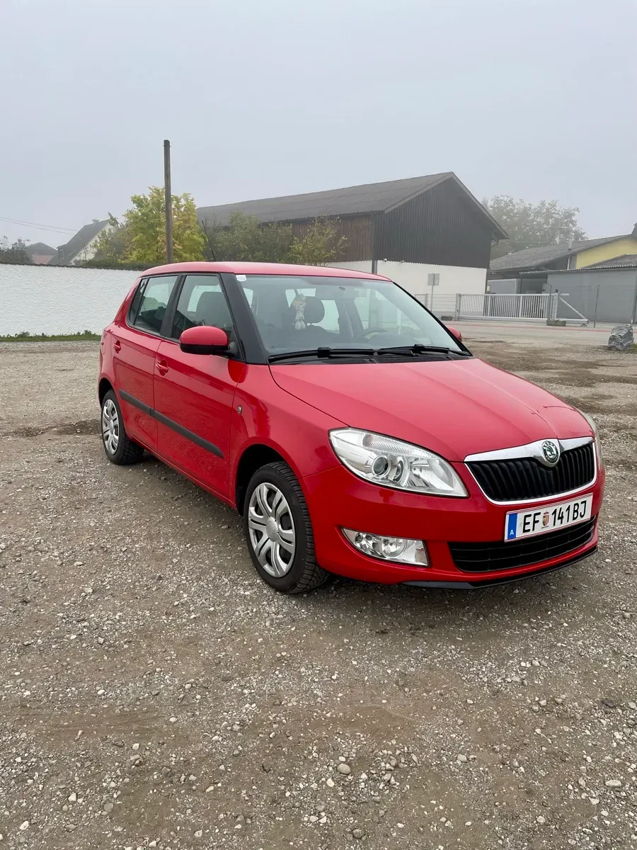 Skoda Fabia 2010 photo 2