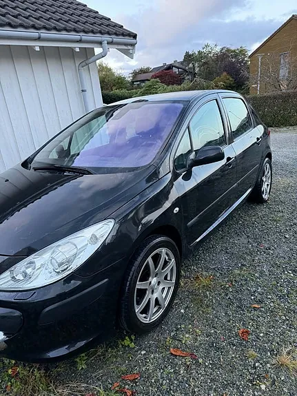 Peugeot 307 2006 photo 2