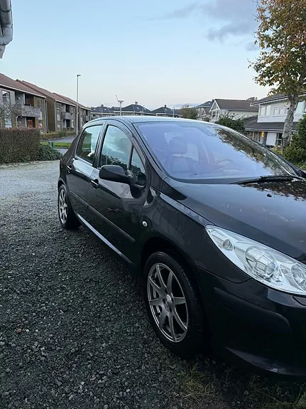 Peugeot 307 2006 photo 3