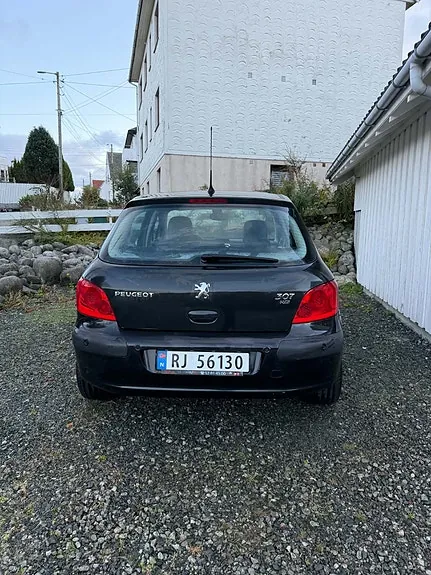 Peugeot 307 2006 photo 4