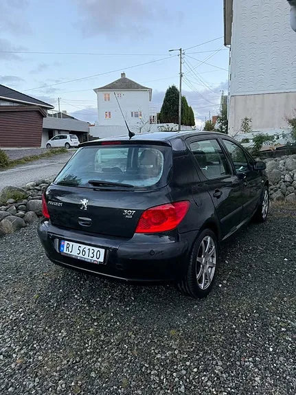 Peugeot 307 2006 photo 5