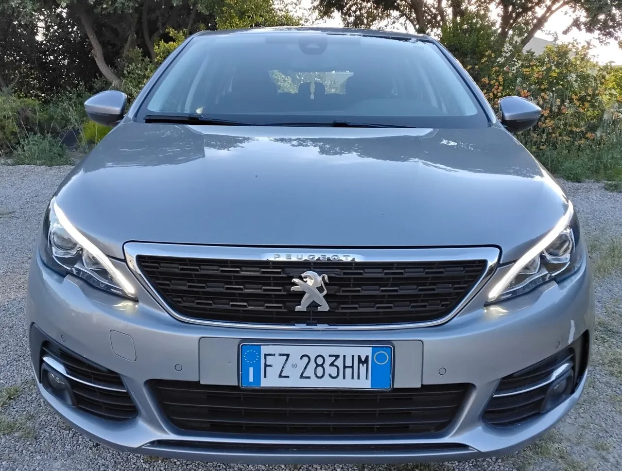 Peugeot 308 2019 photo 2