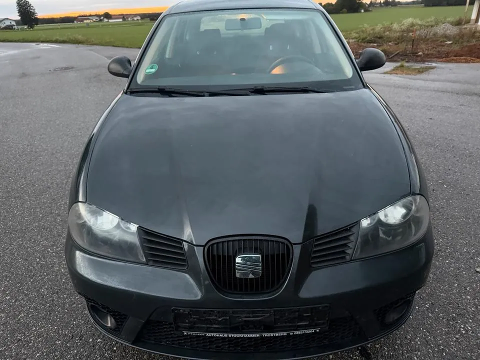 Seat Ibiza