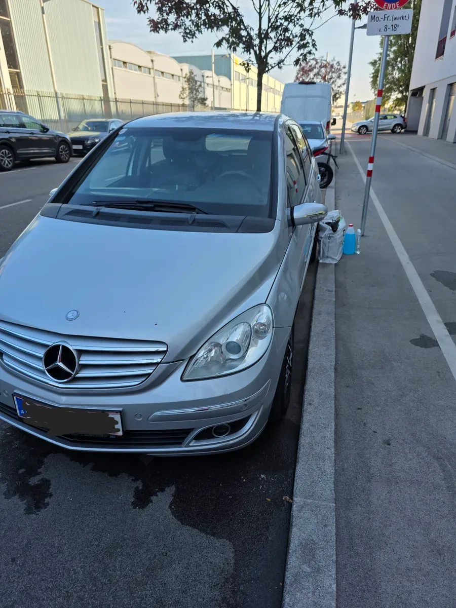Mercedes-Benz B-Class 2008 photo 2