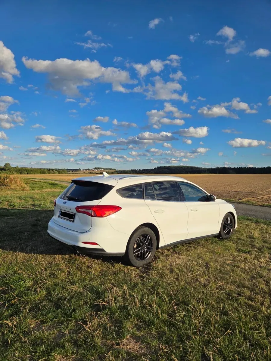 Ford Focus 2019 photo 2