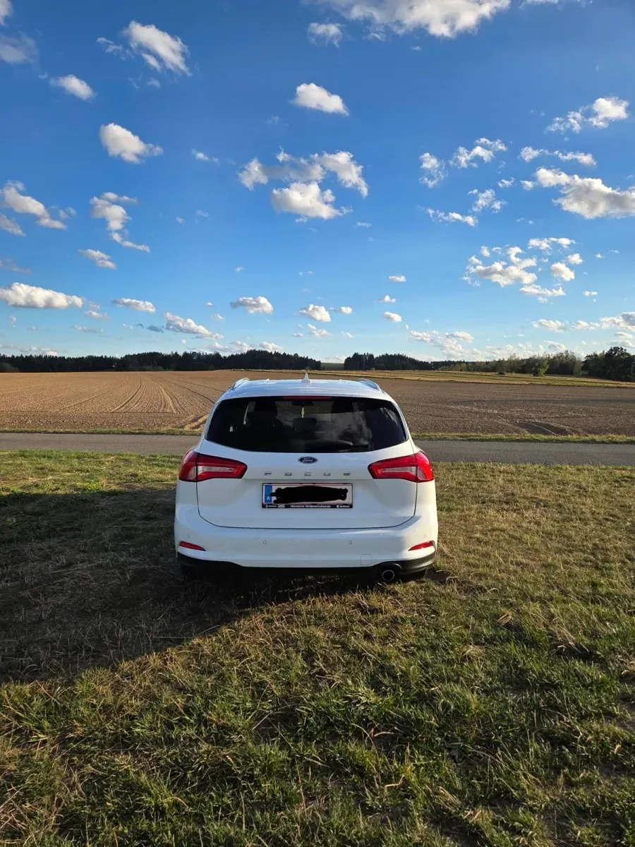 Ford Focus 2019 photo 3