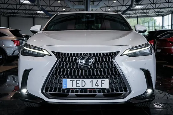 Lexus Nx350H 2023 photo 3
