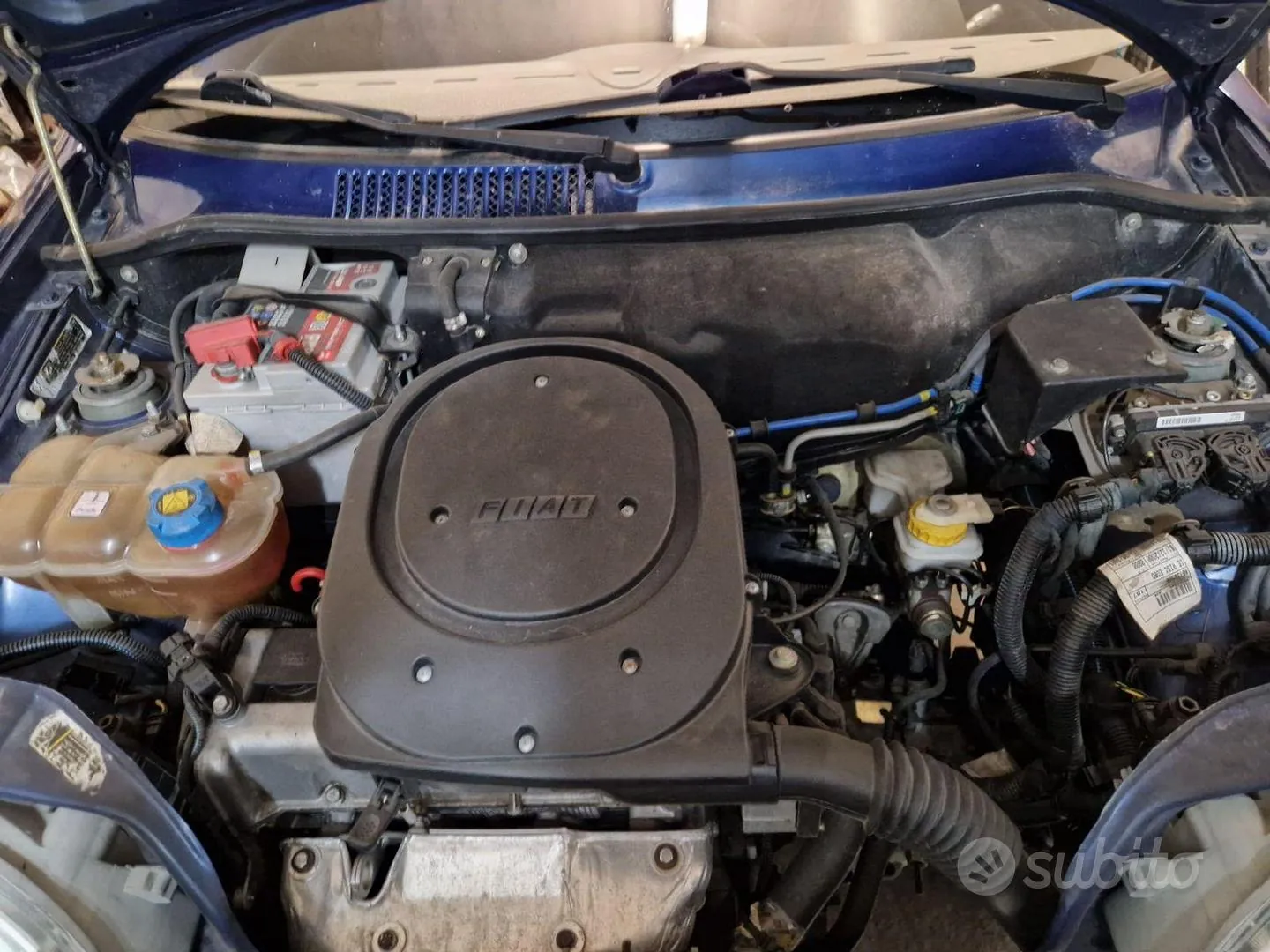 Fiat 600 2001 photo 5