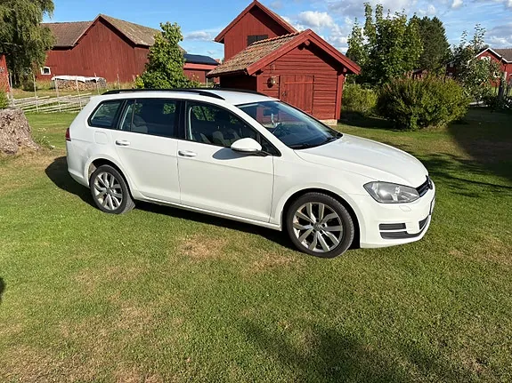 Volkswagen Golf Vii 2015 photo 2