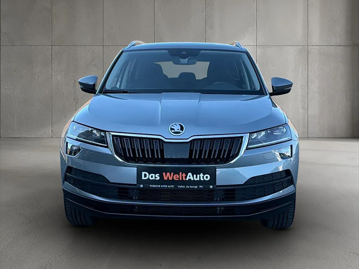 Skoda Karoq 2020 photo 2