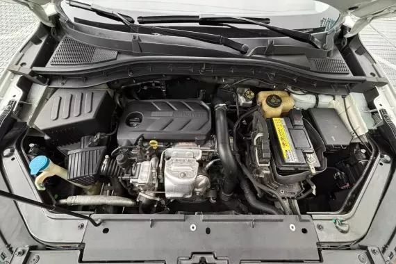 MG Zs Trophy 2022 photo 4