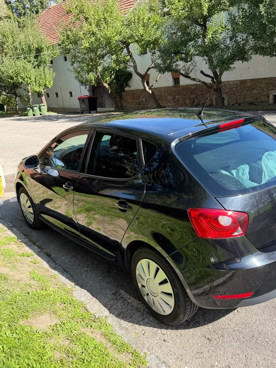 Seat Ibiza 2014 photo 3