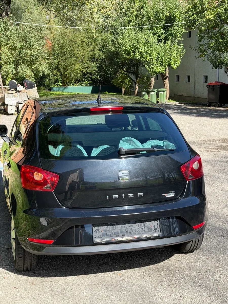 Seat Ibiza 2014 photo 2