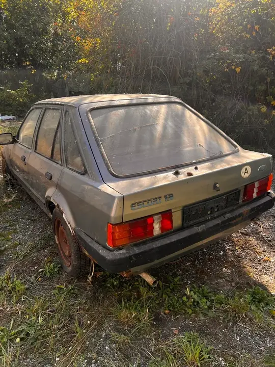 Ford Escort 1982 photo 2